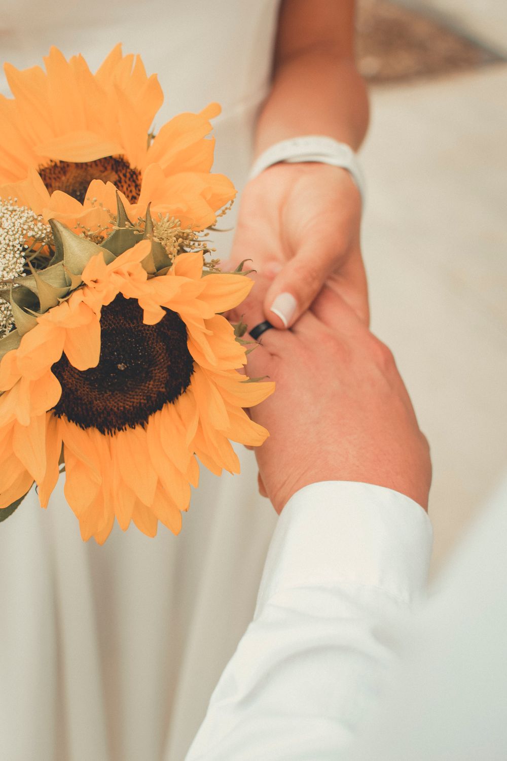 Close-up of hands holding a vibrant orange sunflower against a white dress background.
