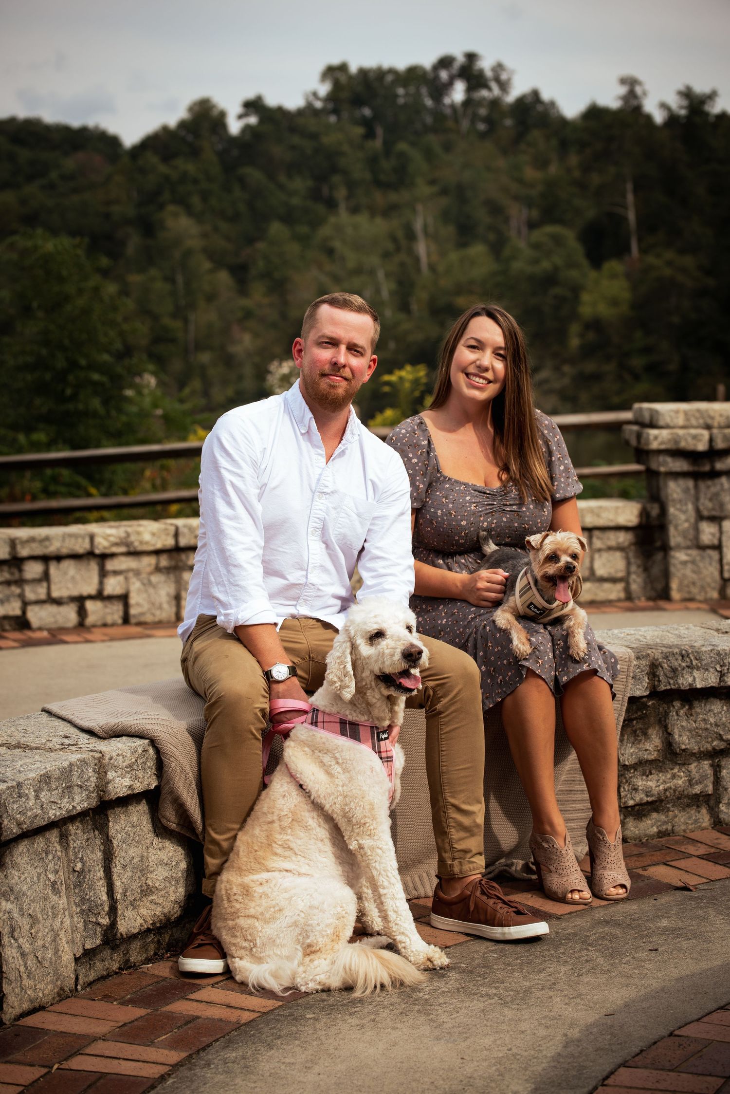 couple sitting at a park with dogs