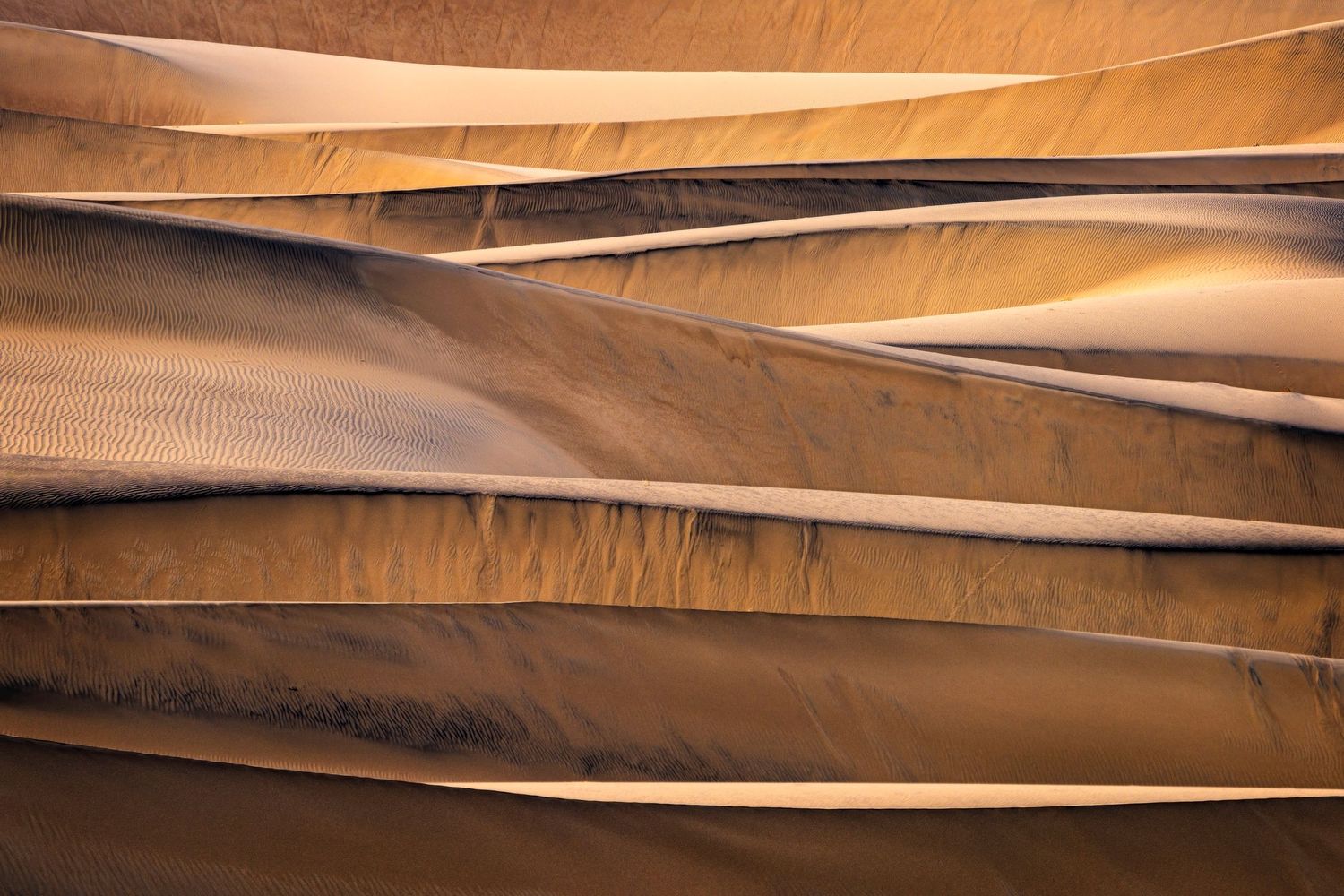 Desert sand dunes creating dramatic lines and shadows in warm golden light.