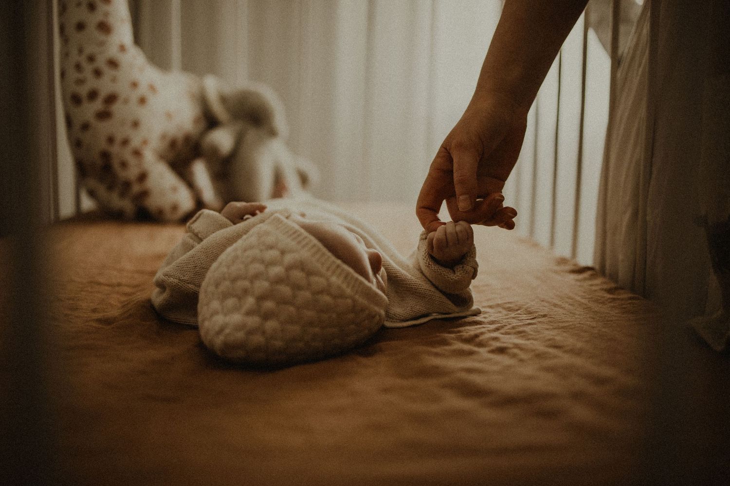 Geelong Melbourne newborn maternity family couples photographer photography