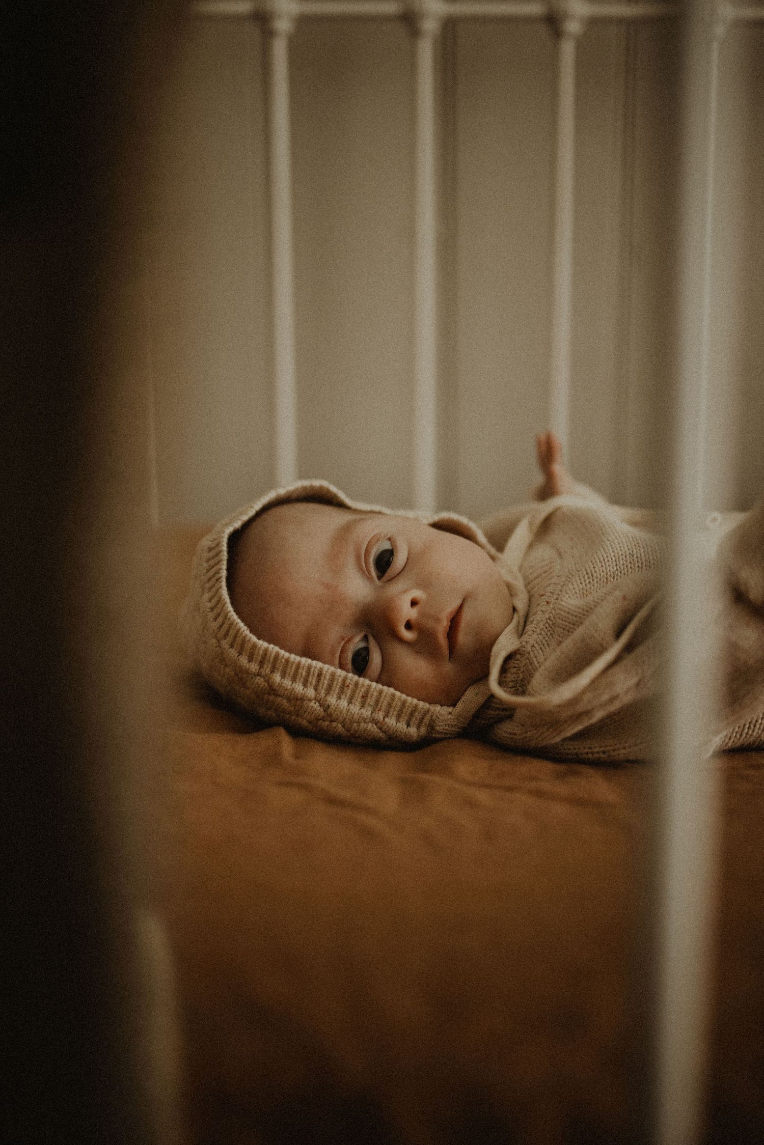 Geelong Melbourne newborn maternity family couples photographer photography