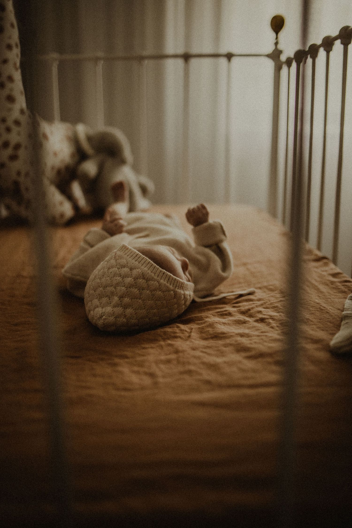 Geelong Melbourne newborn maternity family couples photographer photography