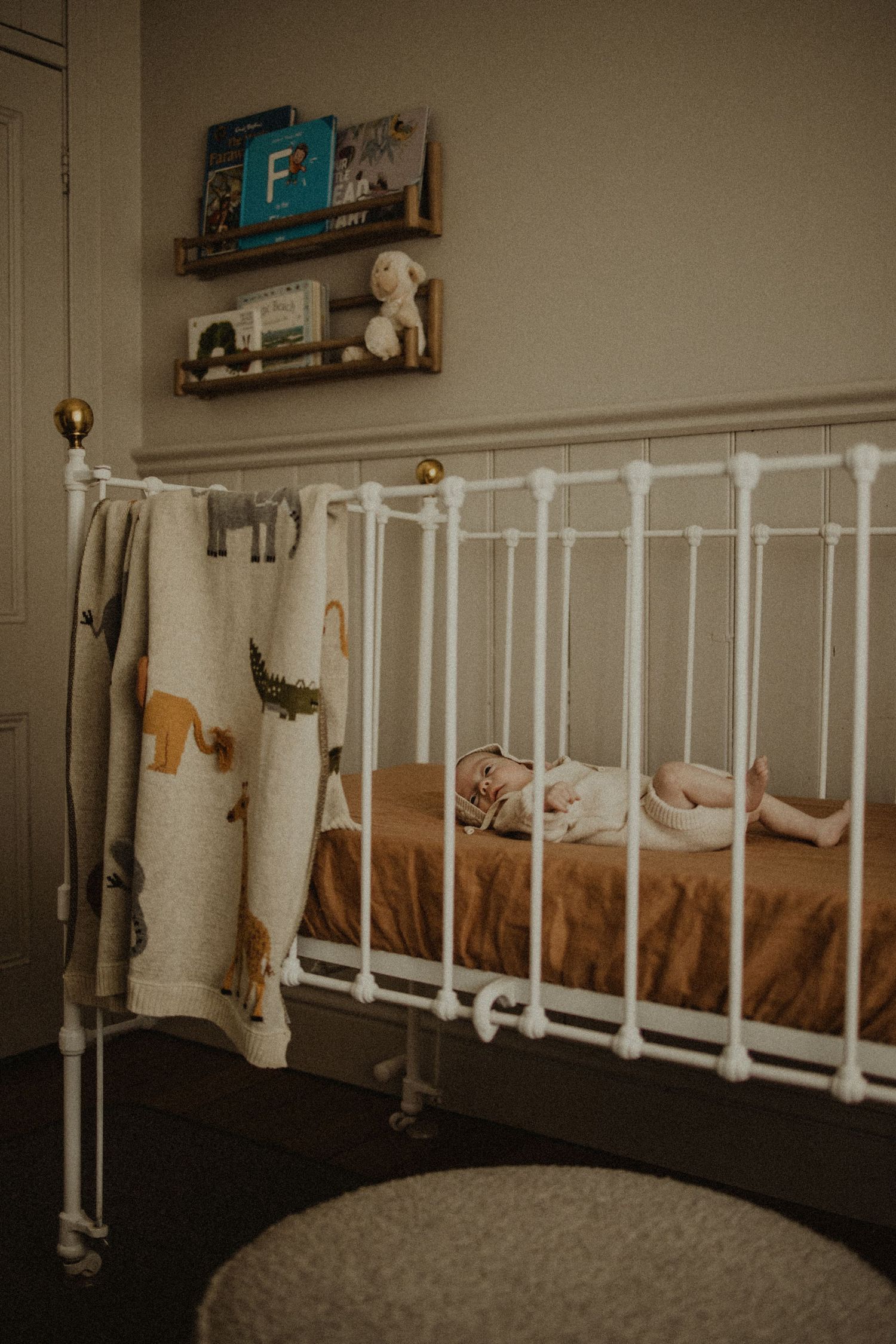 Geelong Melbourne newborn maternity family couples photographer photography