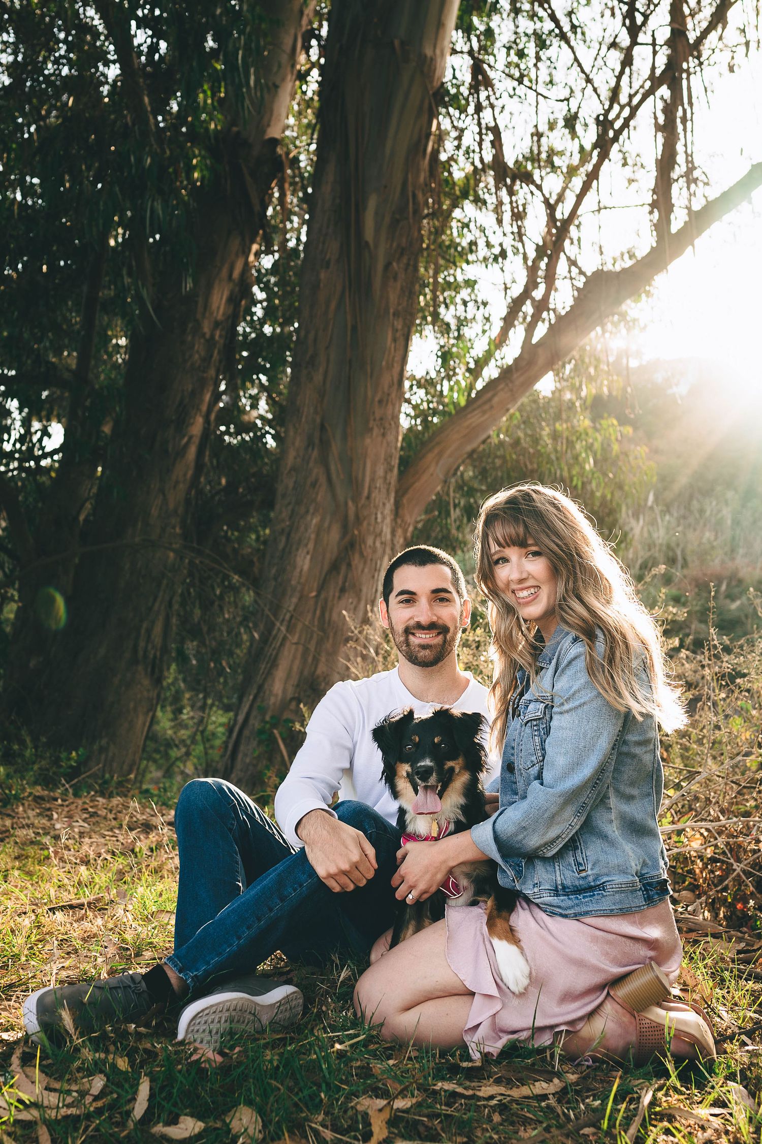 Couple sitting with their small dog among tall eucalyptus trees in warm sunlight.