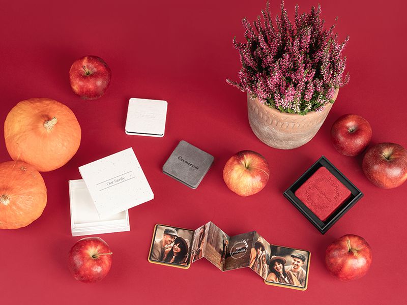 Festive arrangement of apples, photo prints and potted heather on vibrant red background.