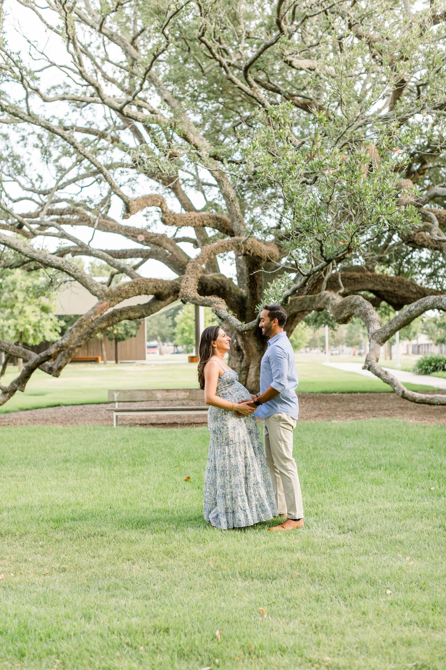 Maternity photoshoot under a large sprawling tree on a grassy lawn.