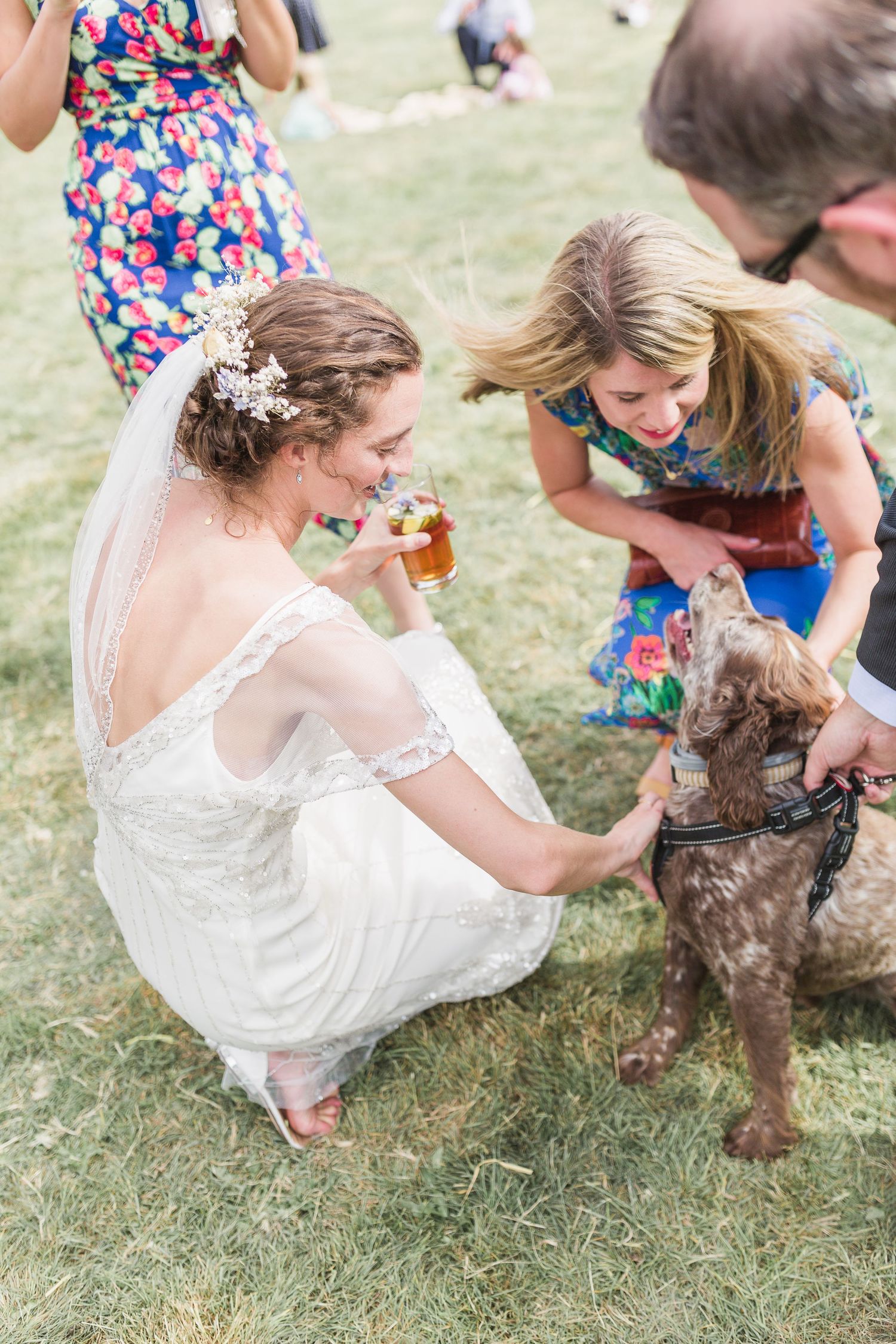Hayley Elizabeth Photography Dogs at weddings spaniel at festival wedding reception the cotswolds