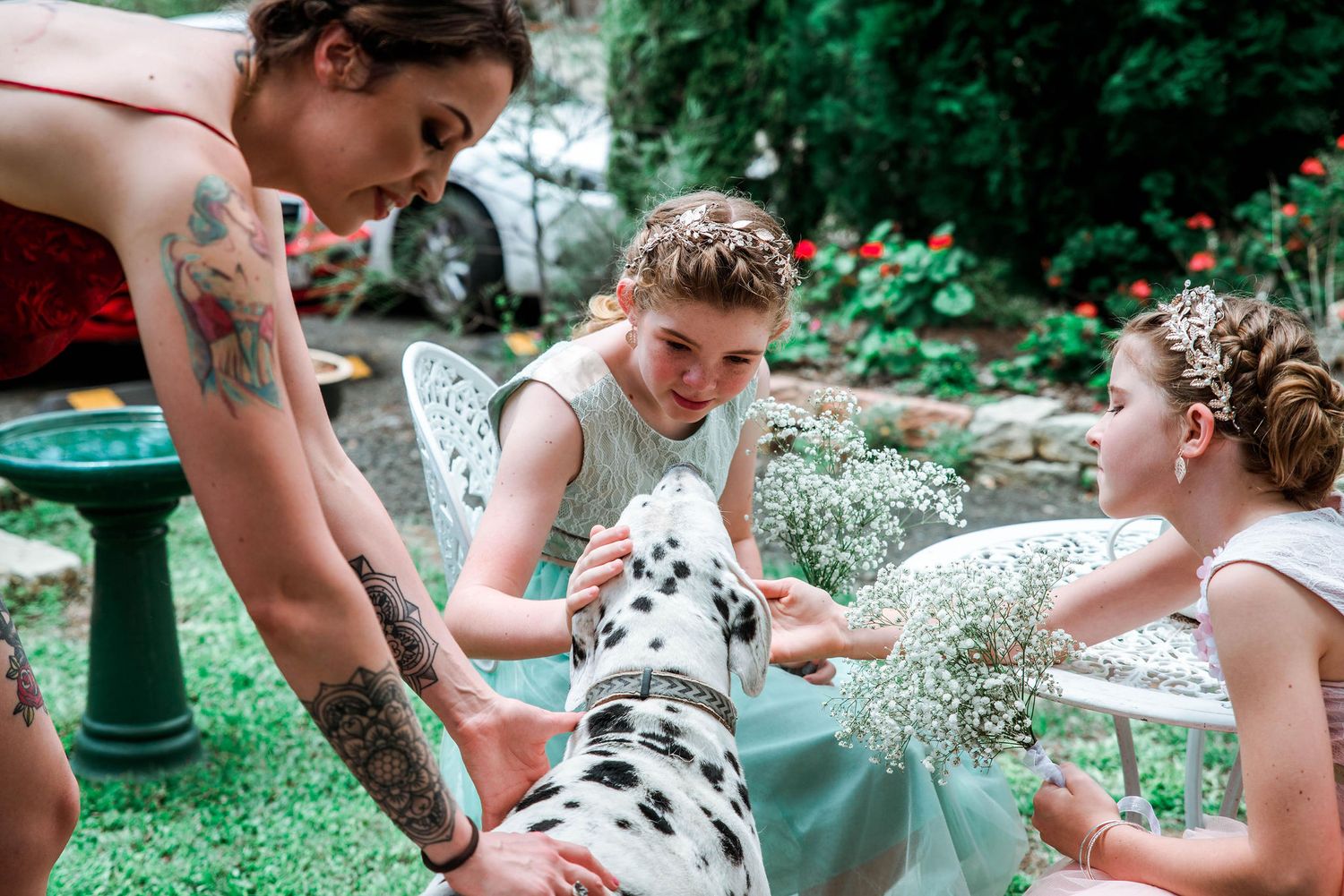 Wedding party gathering around a spotted Dalmatian dog in a lush garden setting.