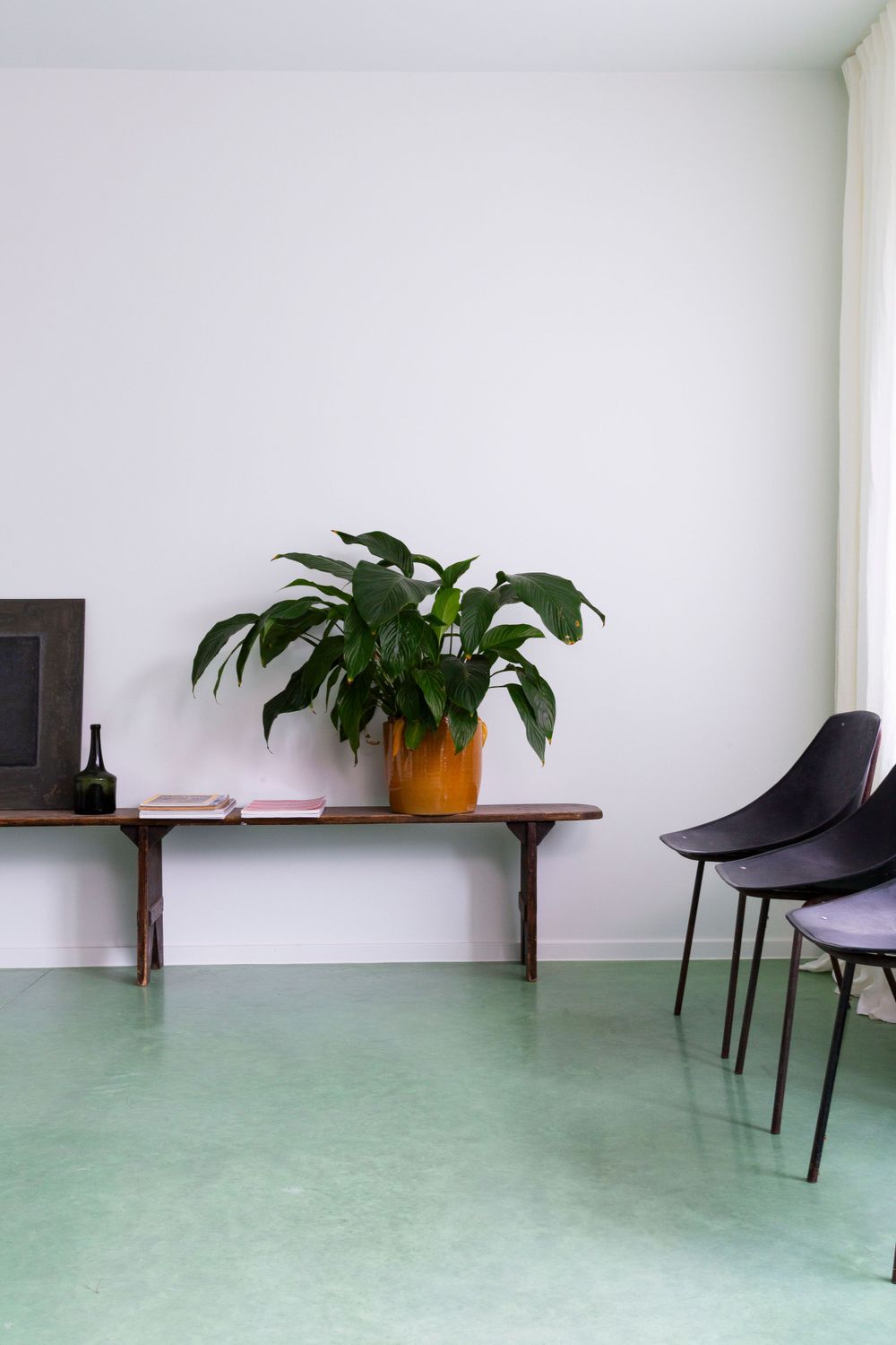 Minimalist room with white walls, green floor, black chairs and wooden shelf with potted plant.