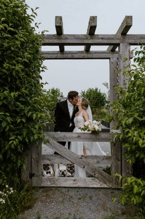 July wedding at Cherry Vale Weddings in Prince Edward County, Ontario