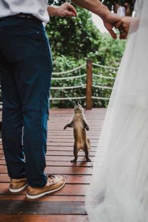 A destination wedding at Ocean Riverera Paradise in Cancun, Mexico