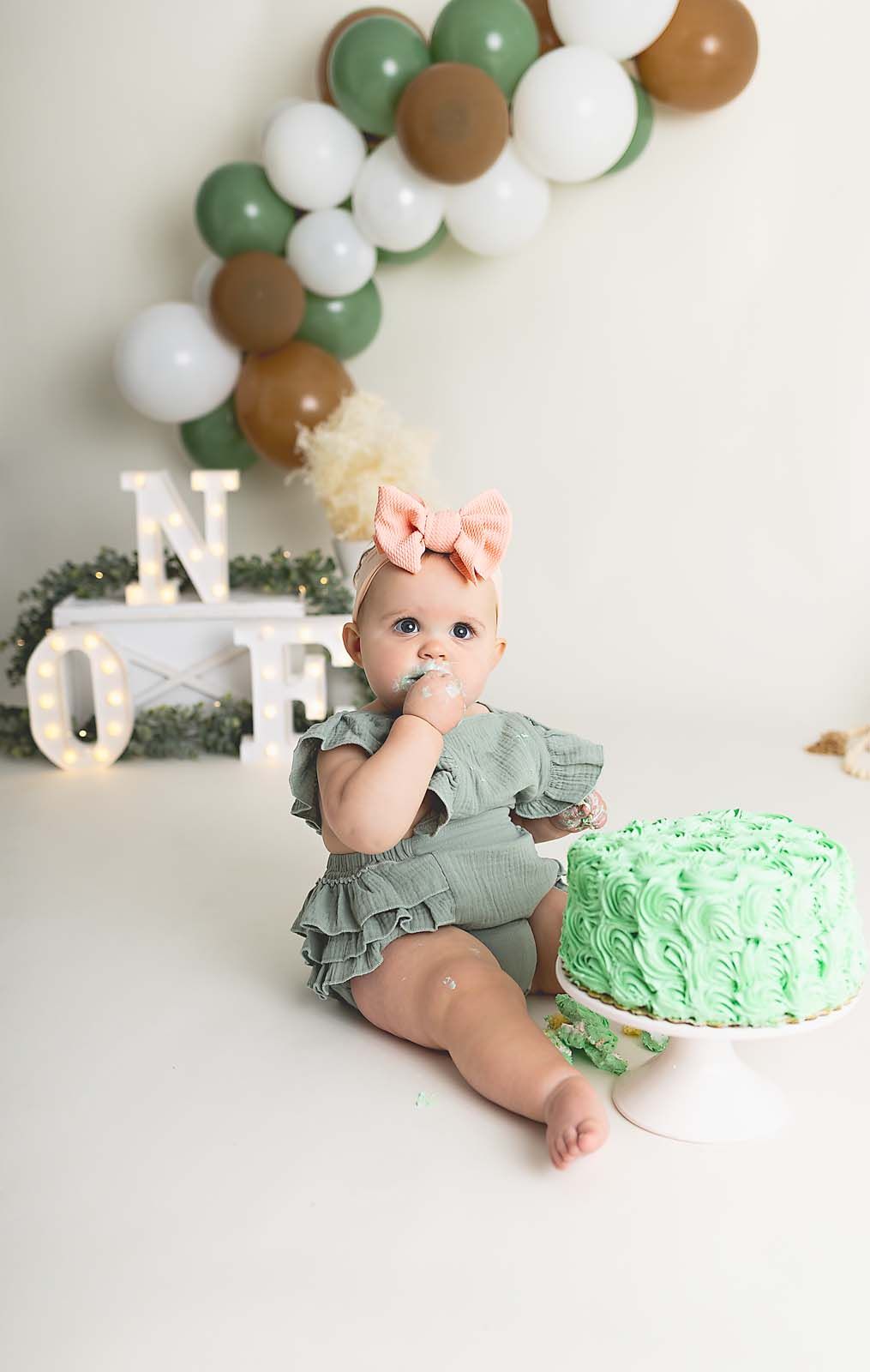 Cakesmash Photographer, Waukesha, Hartland, Milwaukee, Sussex, WI