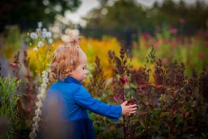 A girl picks flowers unaware she is the center of attention