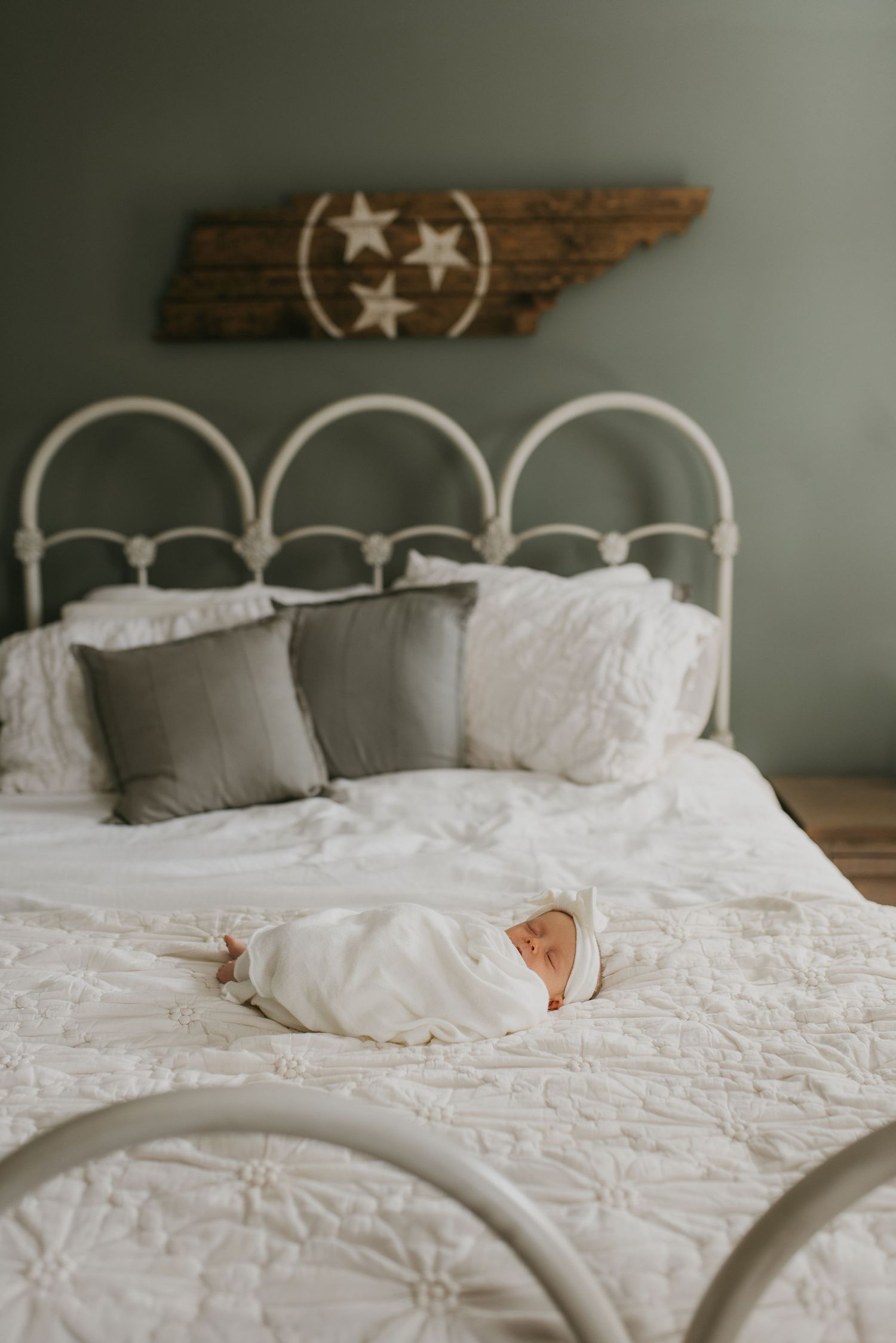 knoxville newborn photography