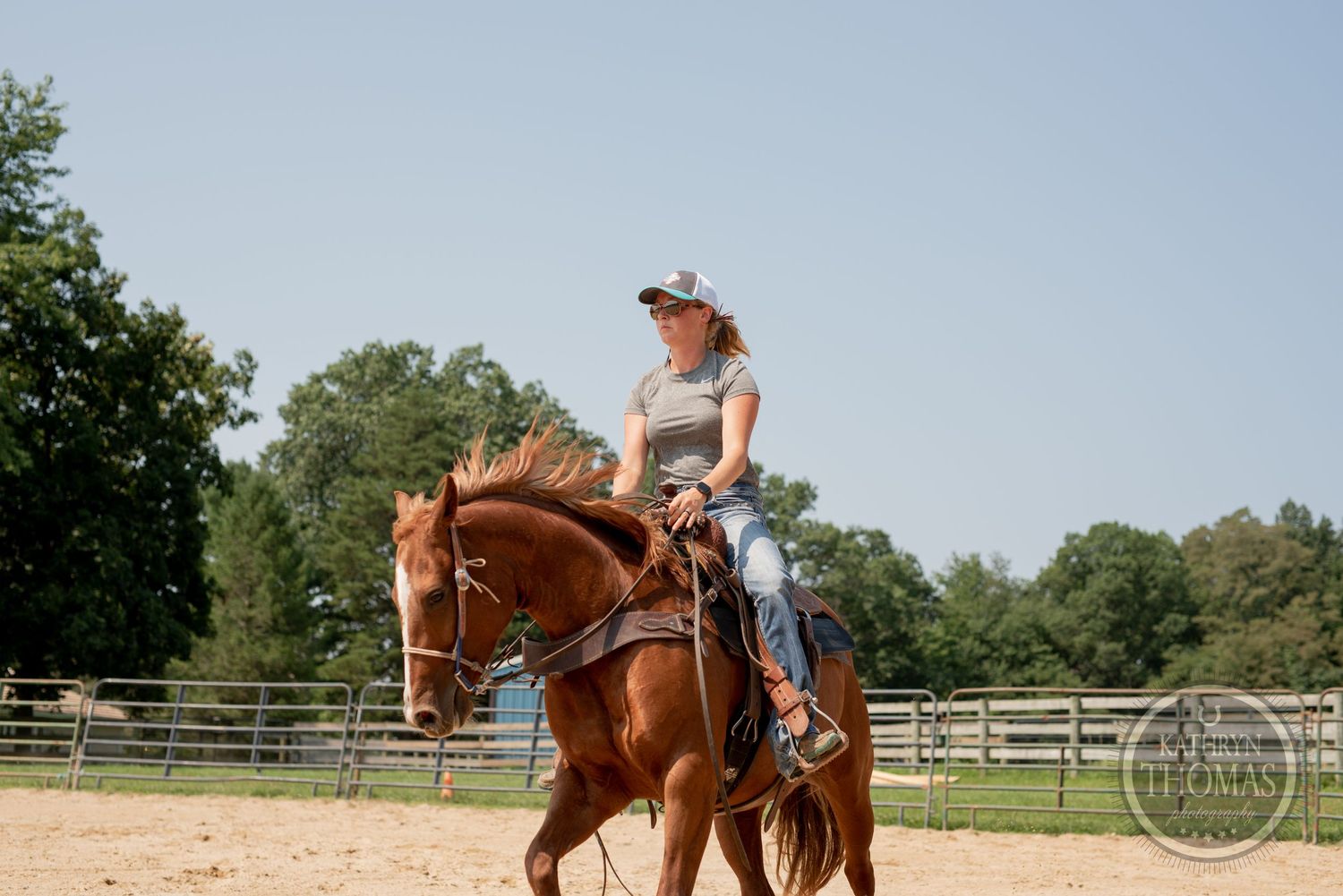 Chestnut horse and rider practicing controlled movements in a sandy training arena.