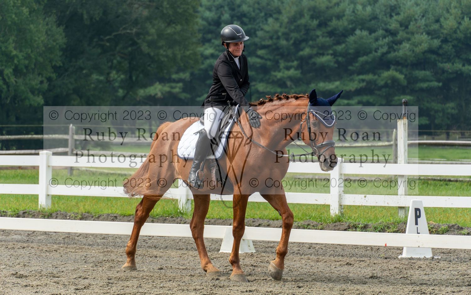 rider petting horse walking to the right