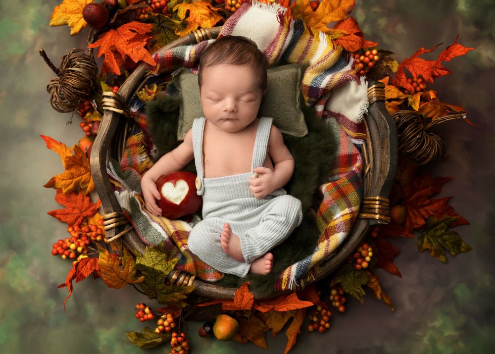 Newborn baby posed in a basket with autumn tones during a fall newborn photography session in New Hampshire