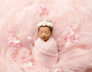 NH Newborn Photographer New Hampshire Newborn Photographer NH Photographer
