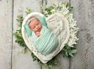 NH Newborn Photographer New Hampshire Newborn Photographer NH Photographer