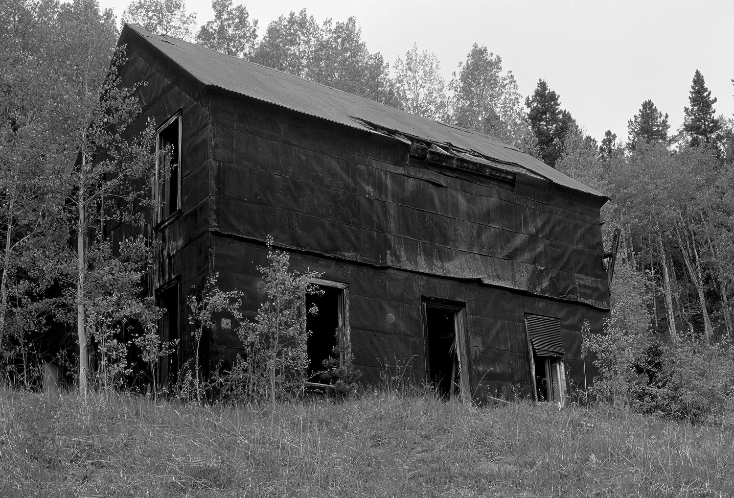 Camp Francis, Colorado