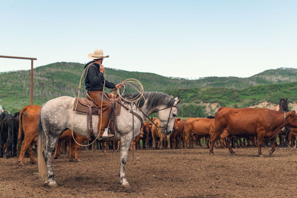 Western lifestyle photographer