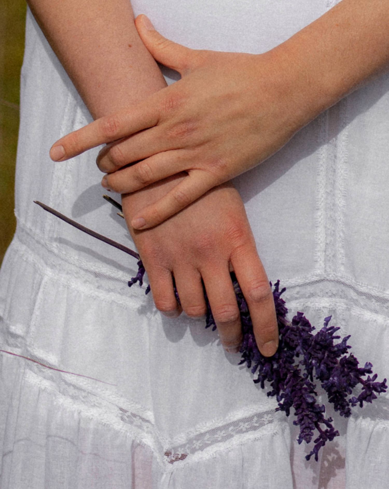 Woman's hands elegantly holding lavender flowers