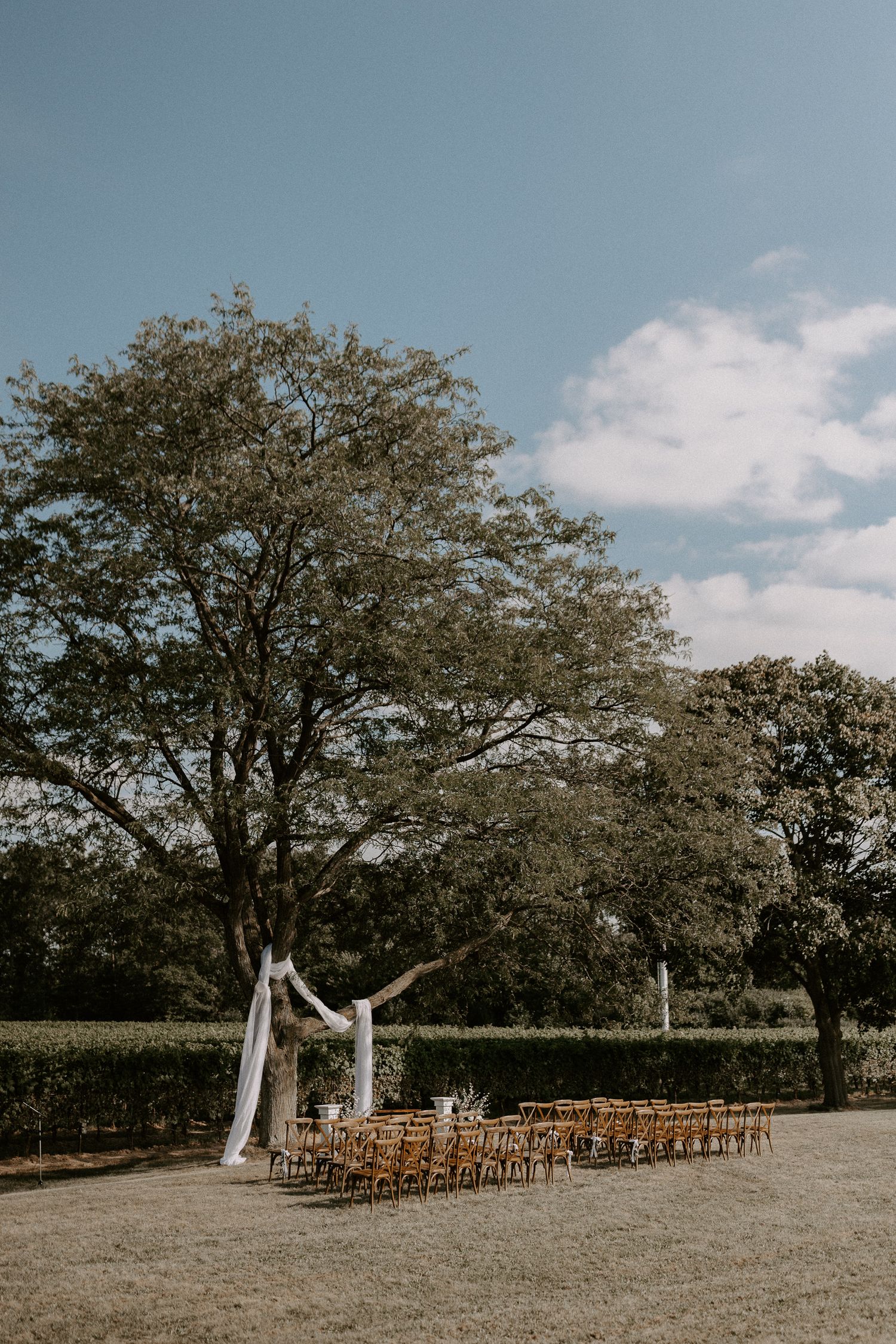 wedding niagara on the lake hare wine co tuscan italian style