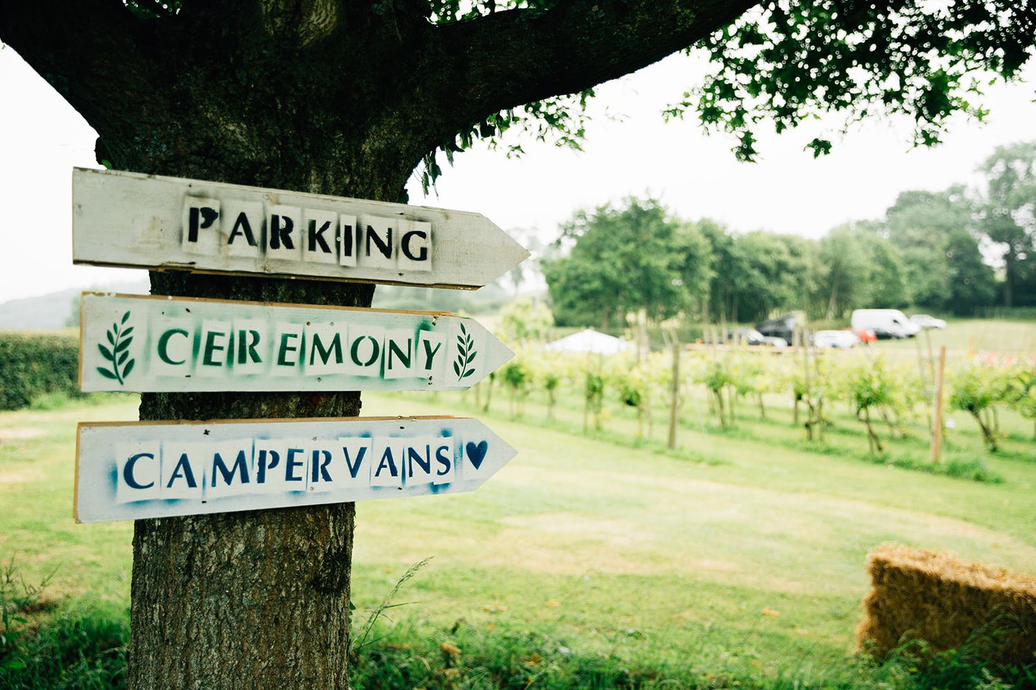 a wedding directions sign, three boards read from the top: parking, ceremony and campervans. Boards are pinned to a tree