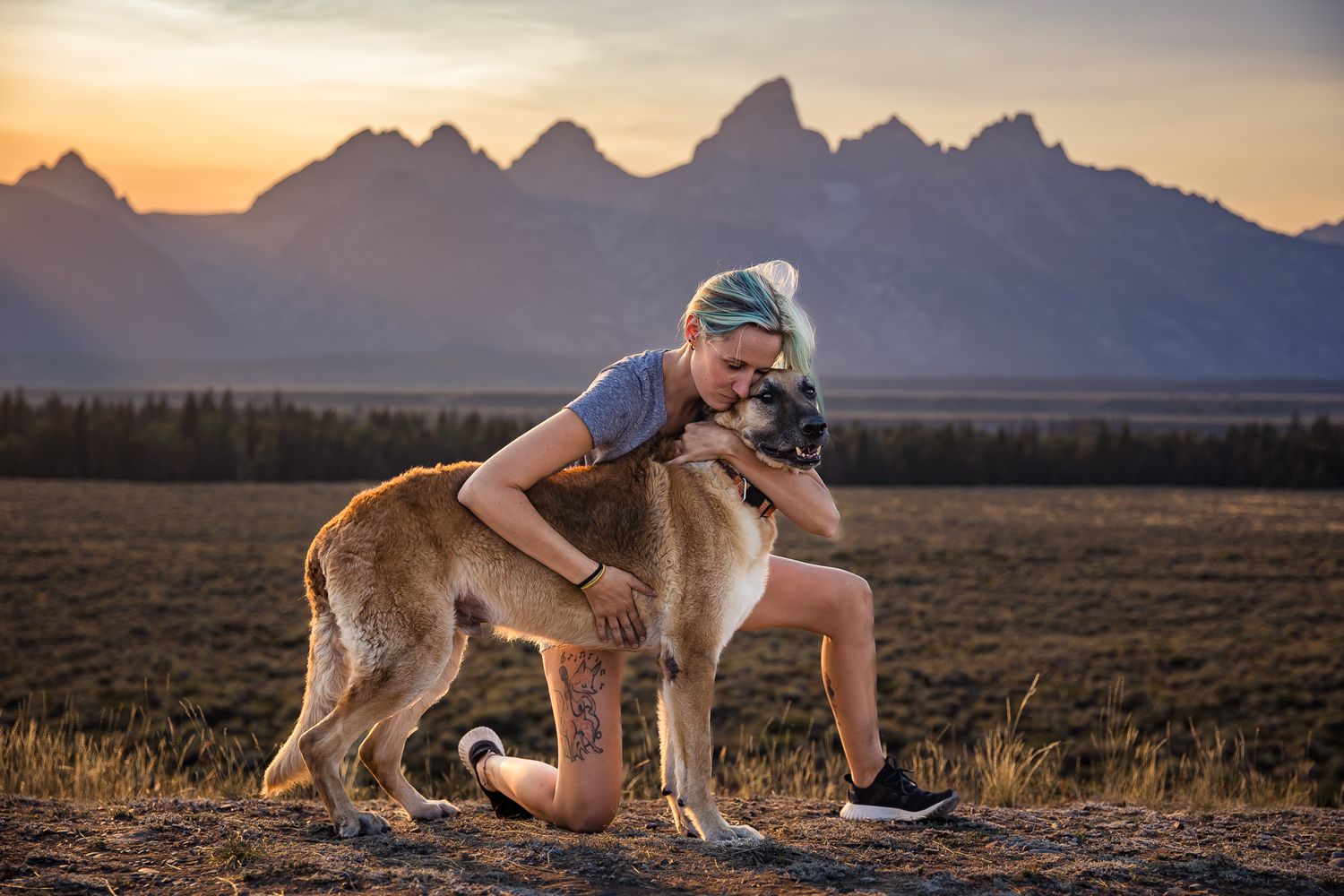 Pet Portraits in Jackson Hole + Grand Teton National Park, Wyoming