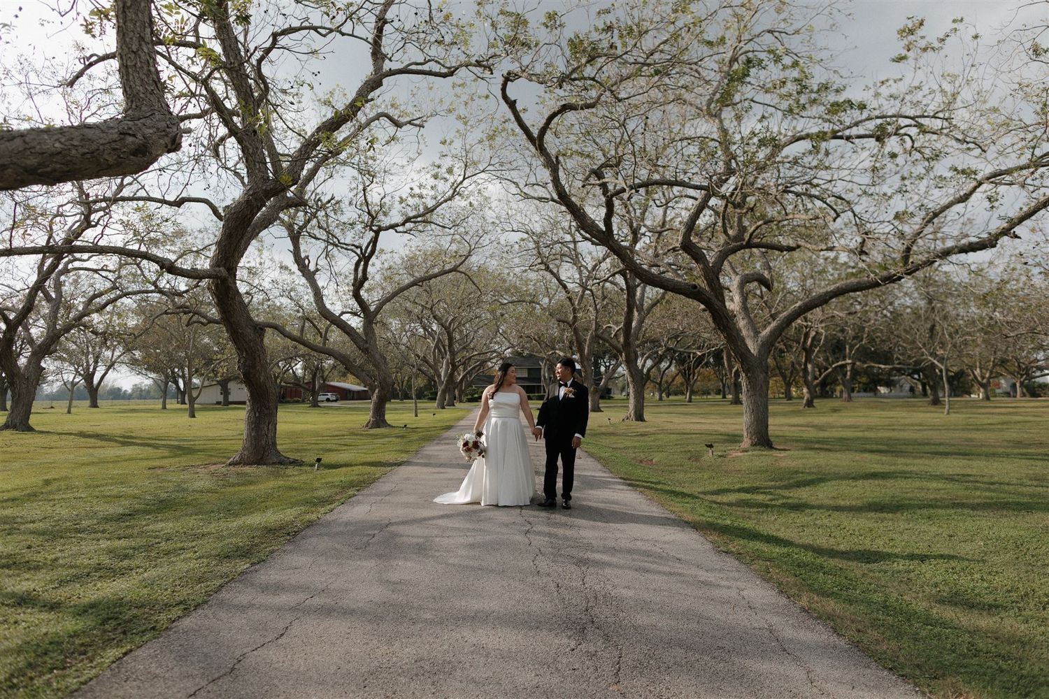 Couple walks down tree-lined pathway during winter wedding.