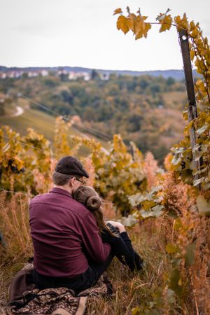 Scenic fall vineyard landscape with autumn foliage and rolling hills in background.
