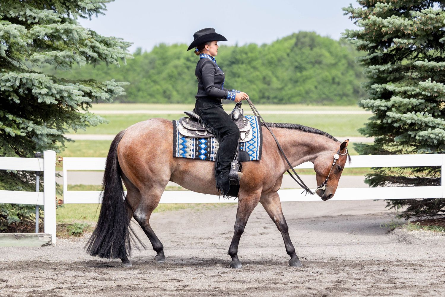 Ludington, Michigan with Dalton Performance Horses