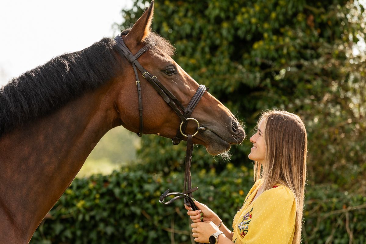 Brown horse and companion sharing an affectionate moment against green foliage background.