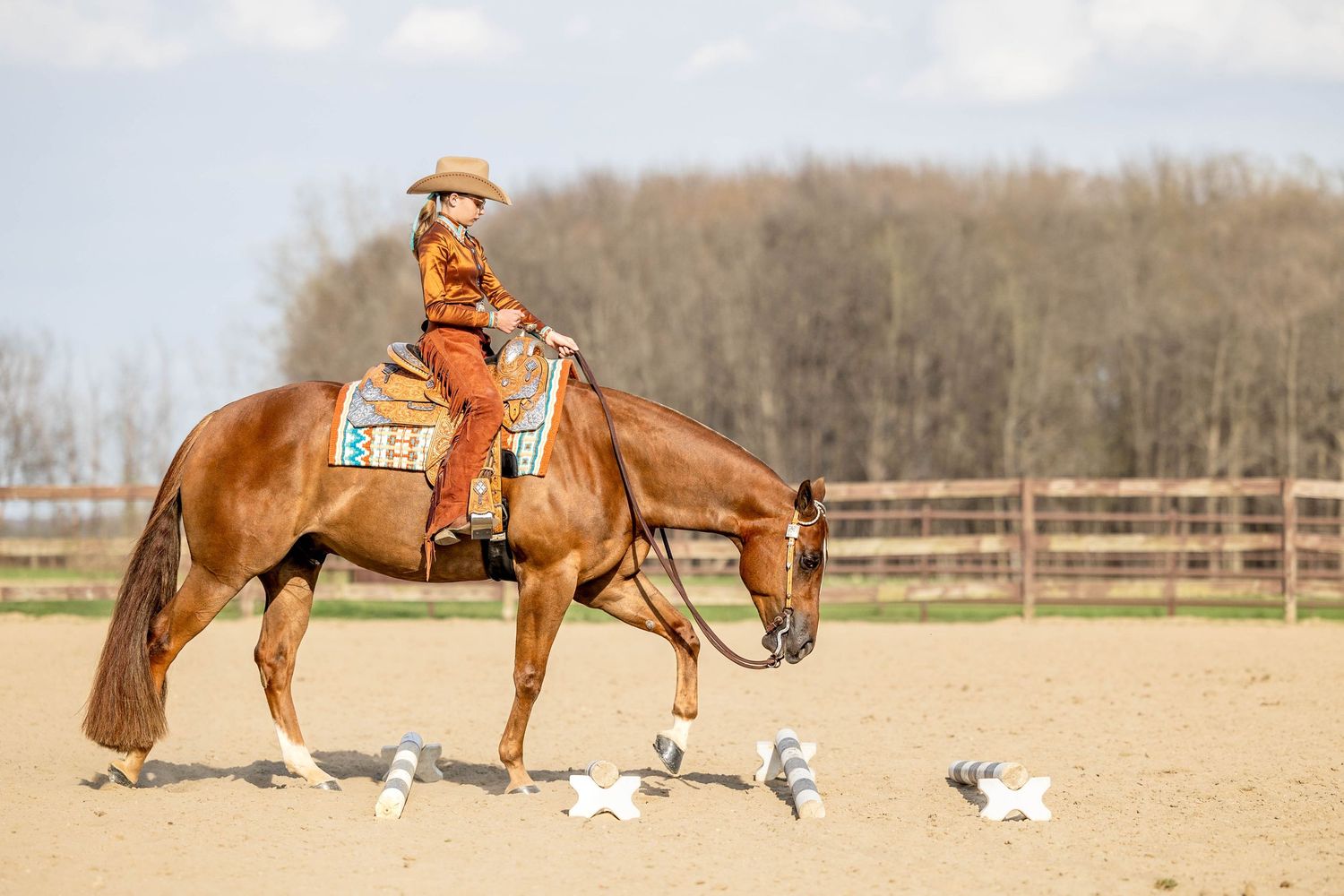 ava and hooley - a chestnut quarter horse