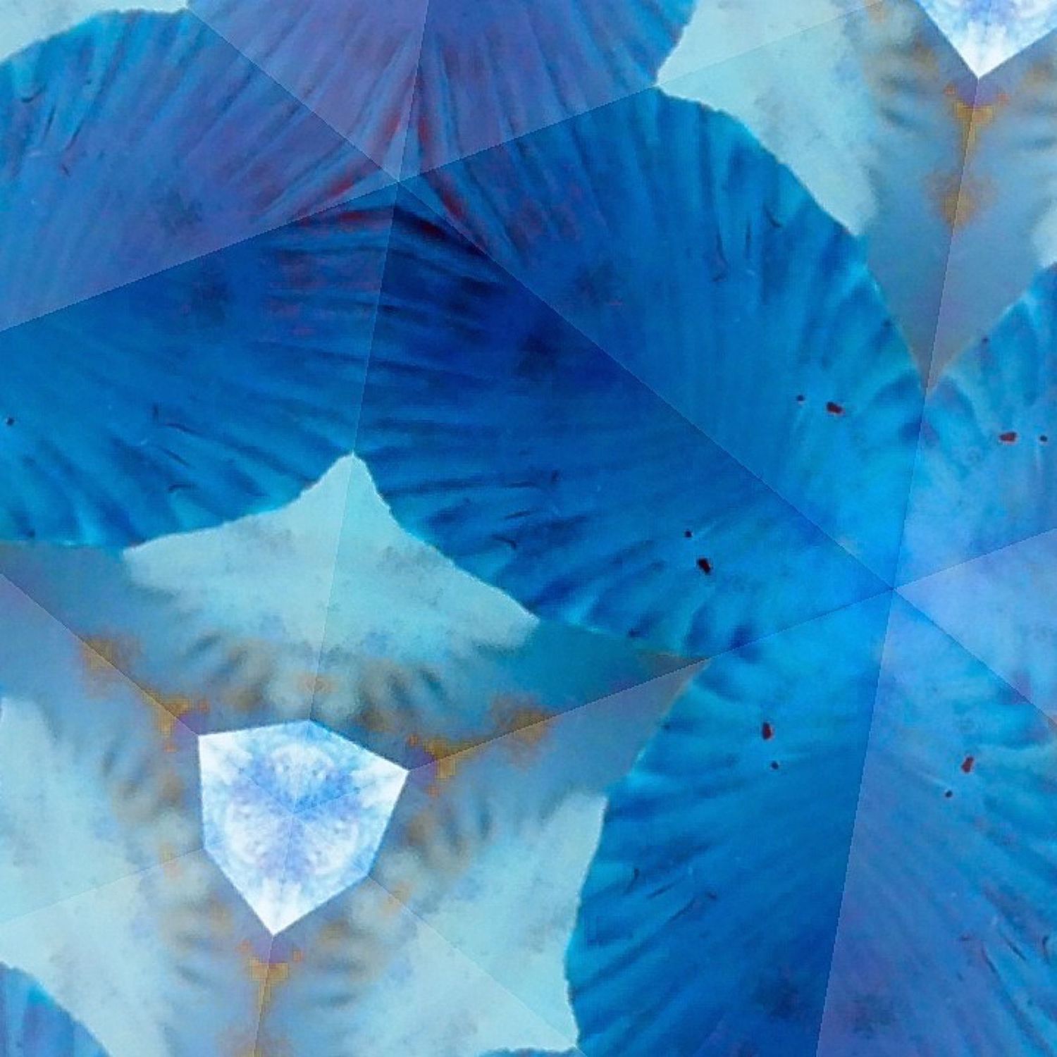Abstract pattern of overlapping blue fan shapes creating a translucent crystalline effect.