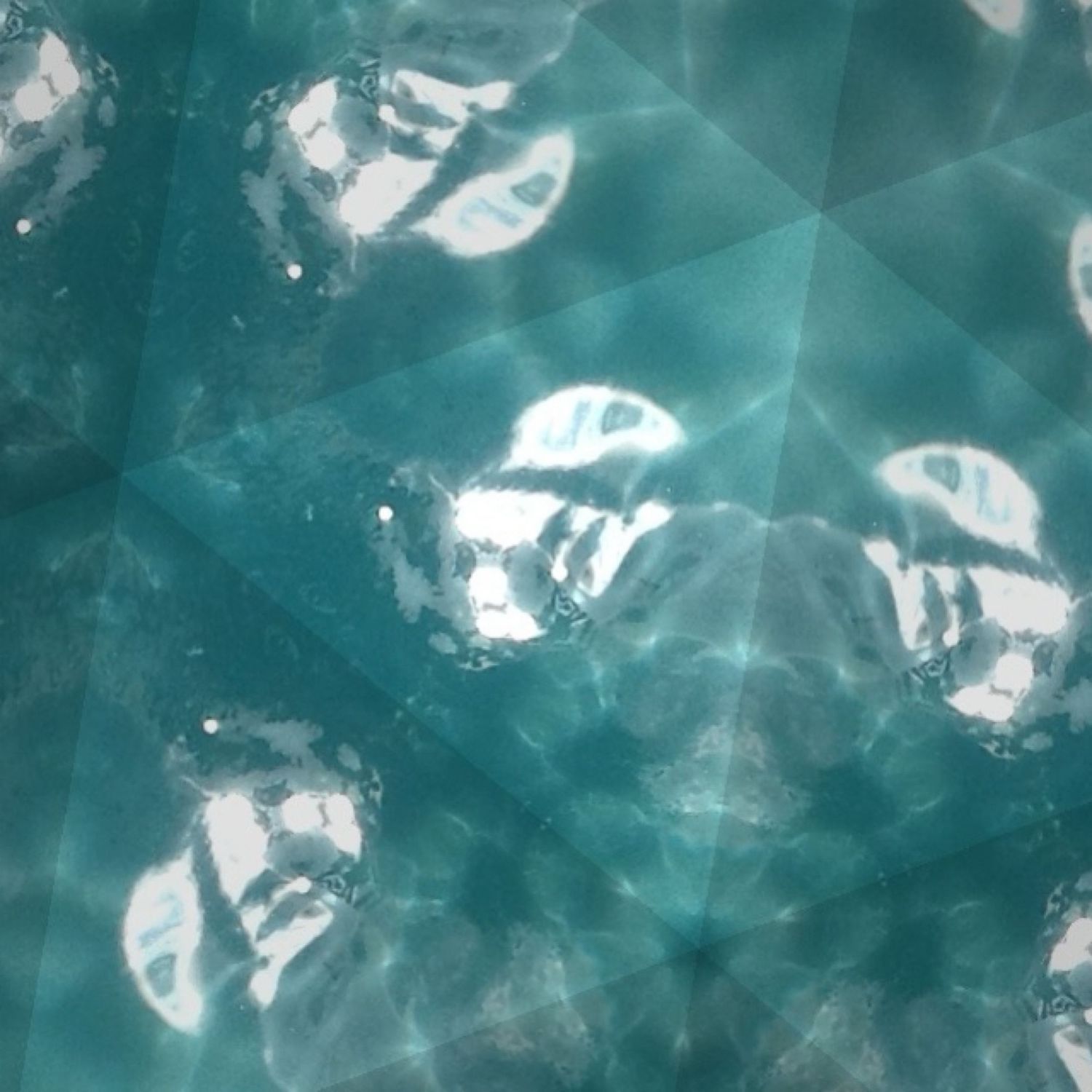 Translucent crystals creating a geometric pattern in turquoise tones with bright highlights.
