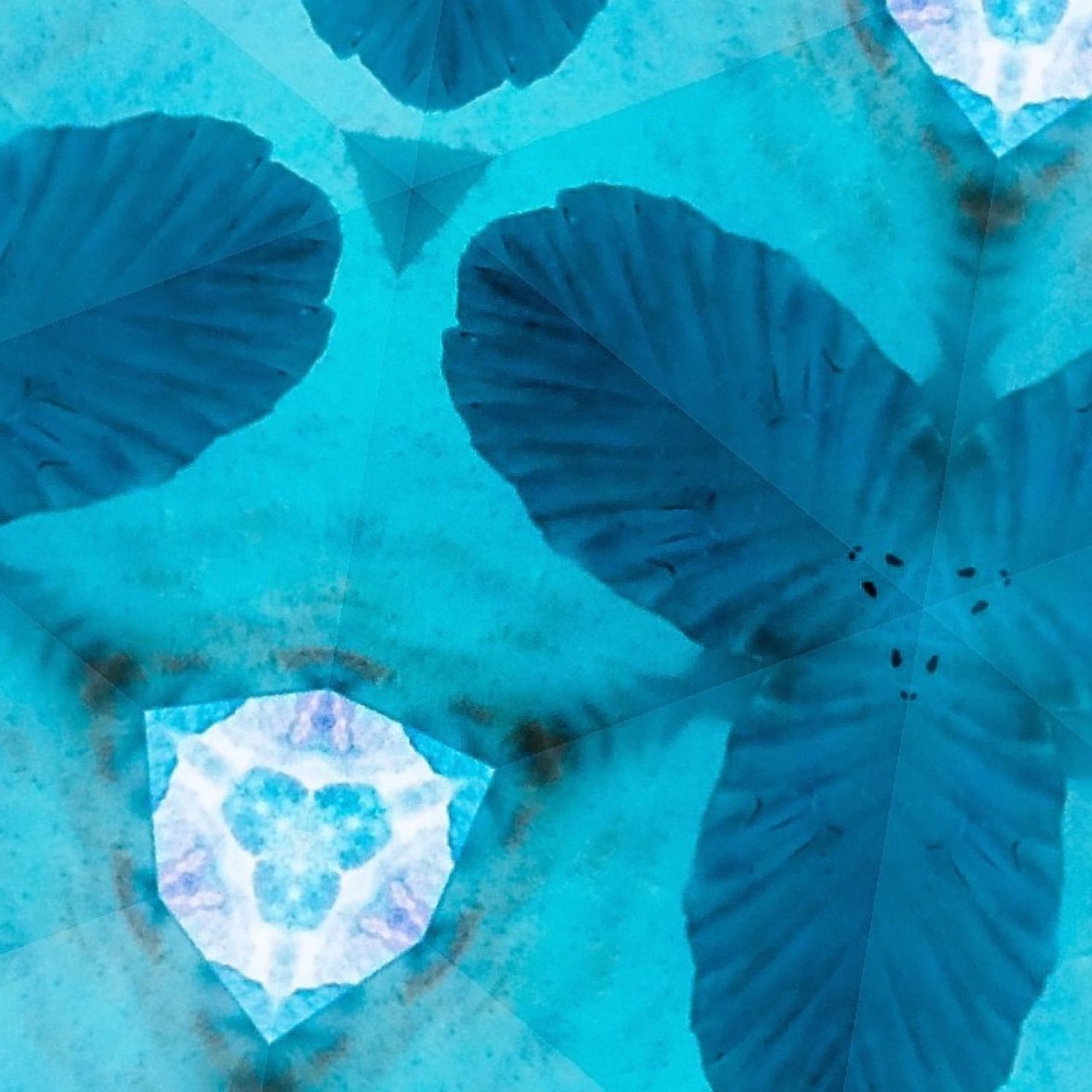 Turquoise leaf-like patterns surrounding a bright circular crystal formation.