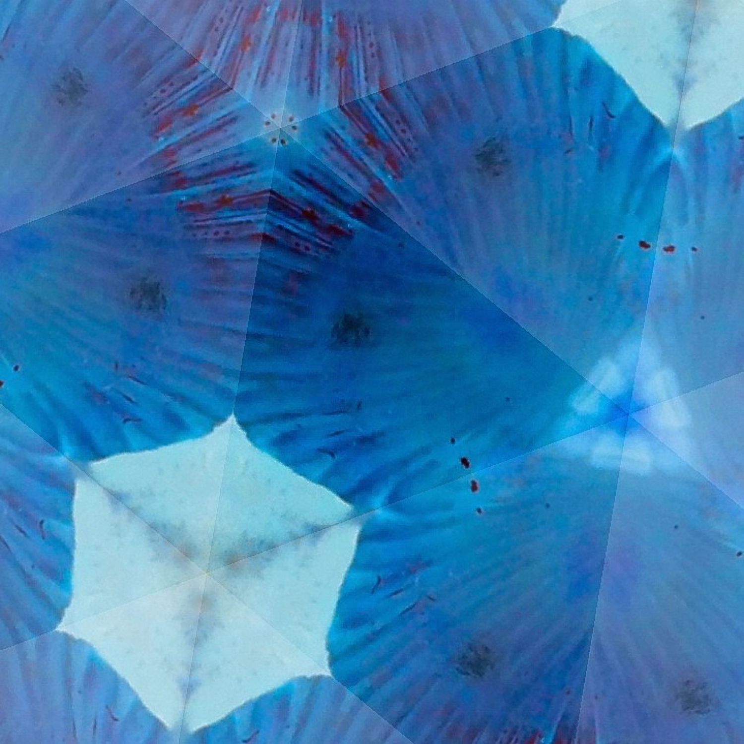 Abstract geometric pattern featuring hexagonal shapes and radiating lines in vivid blue tones.