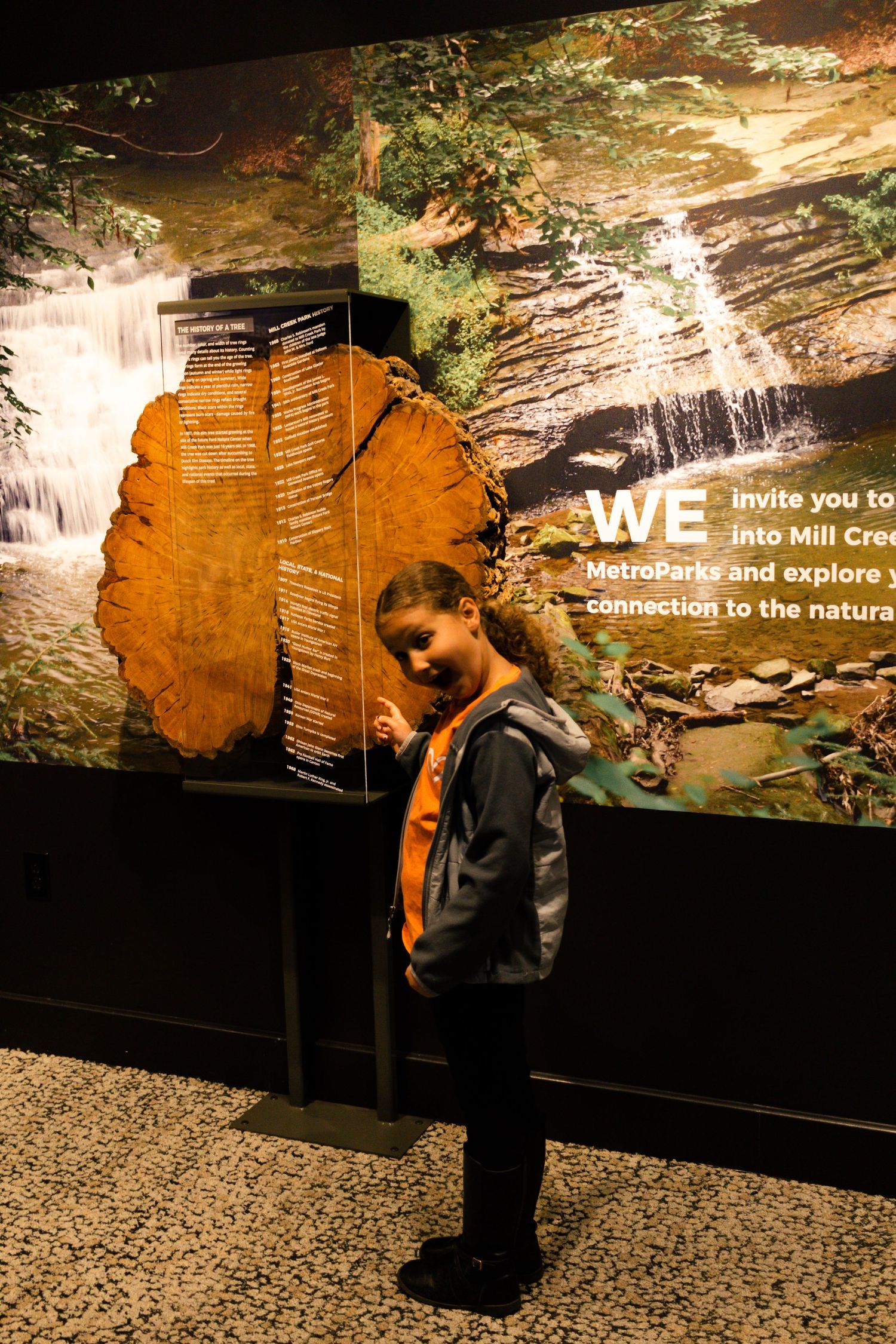 youngstown photographer boardman photographer ohio photographer colleen mohr photography