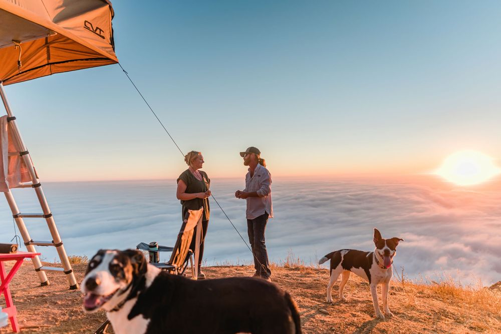 Two adventurers and their dogs watch a beautiful sunset from their rooftop camping spot above the clouds.