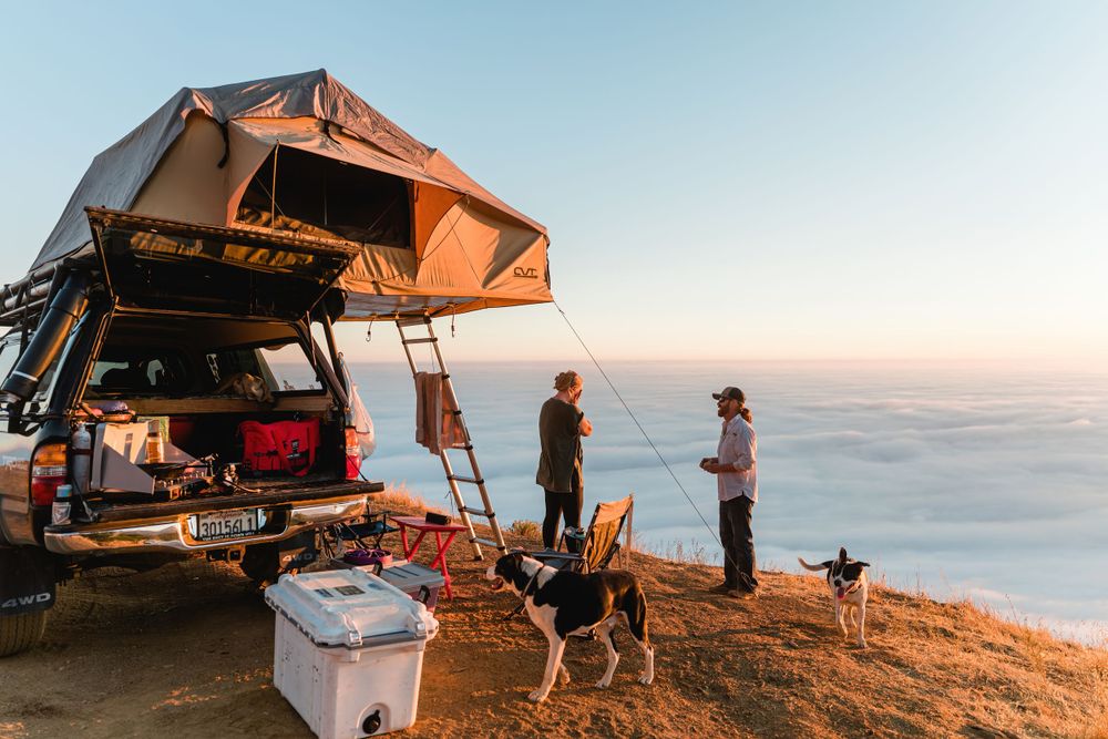 Group camping with rooftop tent and dog overlooking misty coastal view.