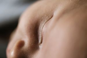 Macro shot of peaceful features in soft natural light.