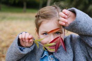 Child peeks through colorful autumn leaves held up to face.