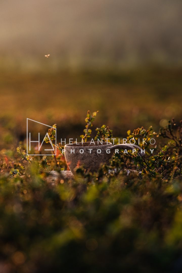 Midsummer