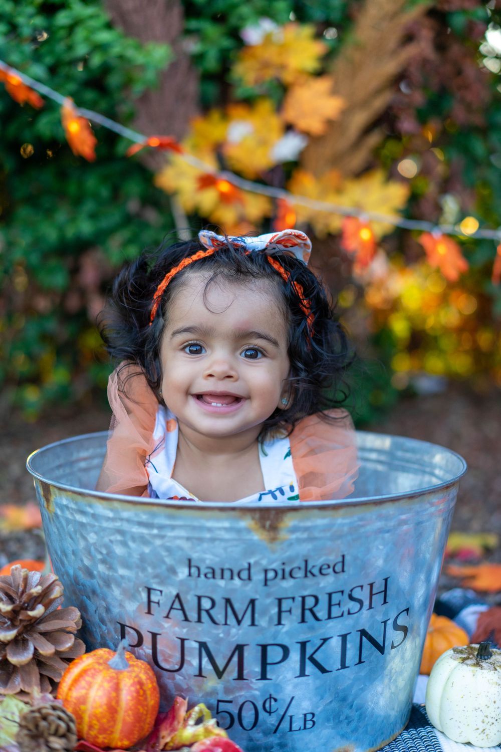 Autumn themed photoshoot with vintage metal pumpkin bucket and fall decorations.
