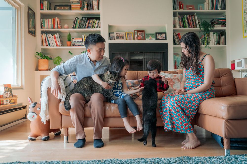 Asian family with two young children interact playfully with cats on leather sofa in cozy living room.