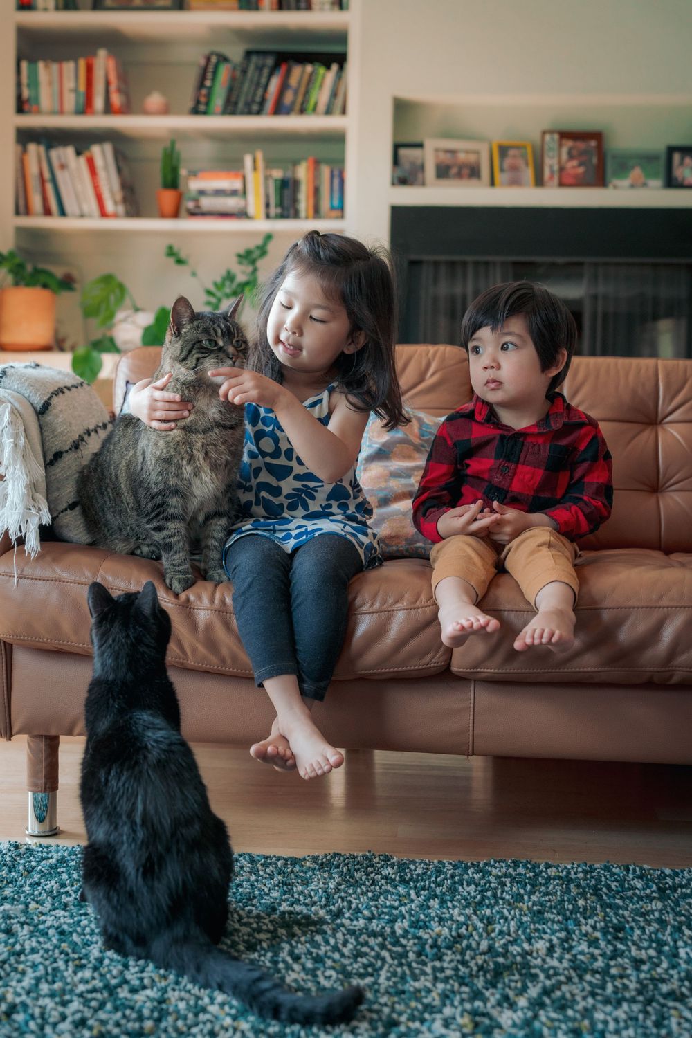 Two young Asian children sit on brown leather sofa petting a tabby cat with black cat watching nearby.