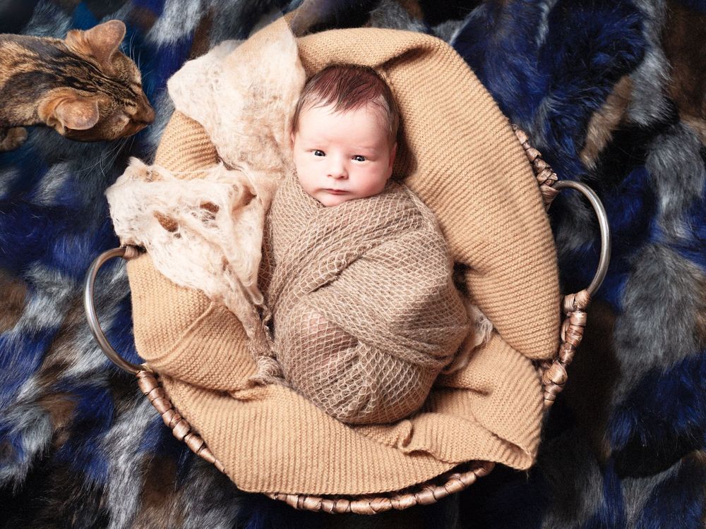 A baby wrapped in a cozy brown knit blanket lies in a round woven basket atop a dark blue textured surface.