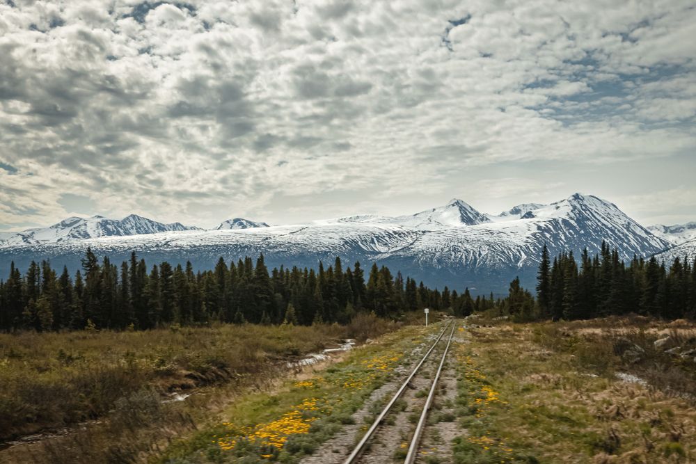 Narrow Gauge Mountains