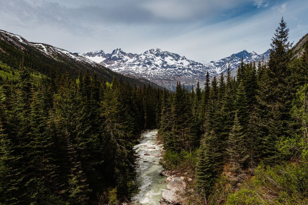 The Yukon